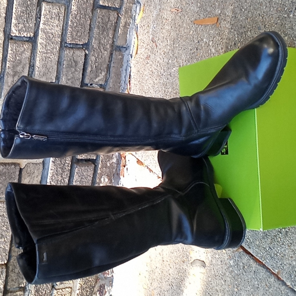 Blondo Tall Waterproof Fur Lined Boot Leather Upper